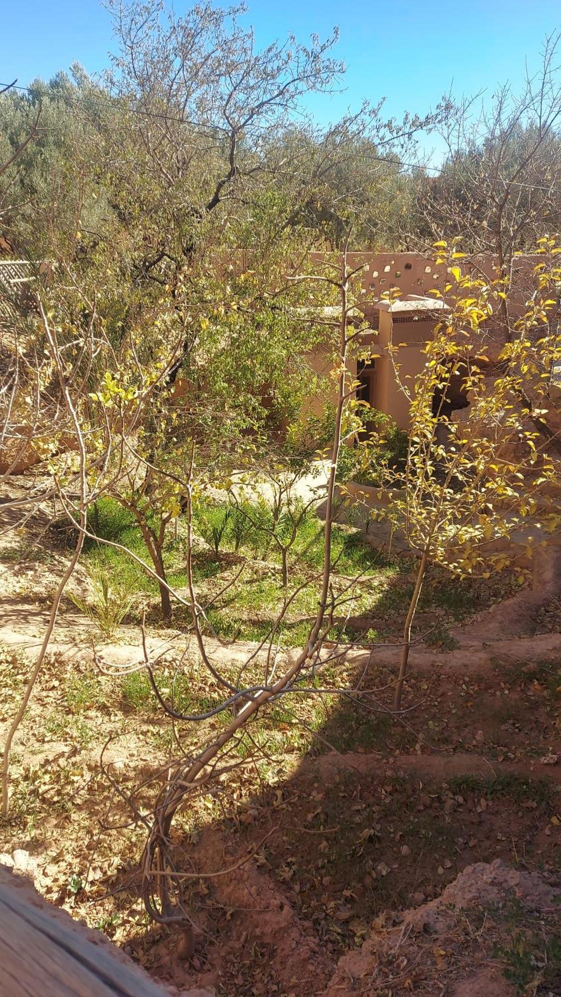 Ecolodge Miss Rose Chez La Famille Boumalne Exterior foto